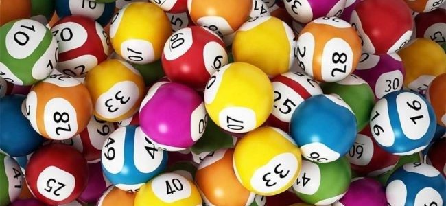 Có rất nhiều cách nuôi lô khung đang được áp dụng hiện nay