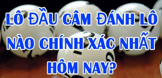Lô đầu 9 câm đánh con gì hôm sau